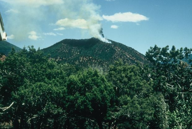 Gallery: 1994 South Canyon Fire | | magicvalley.com