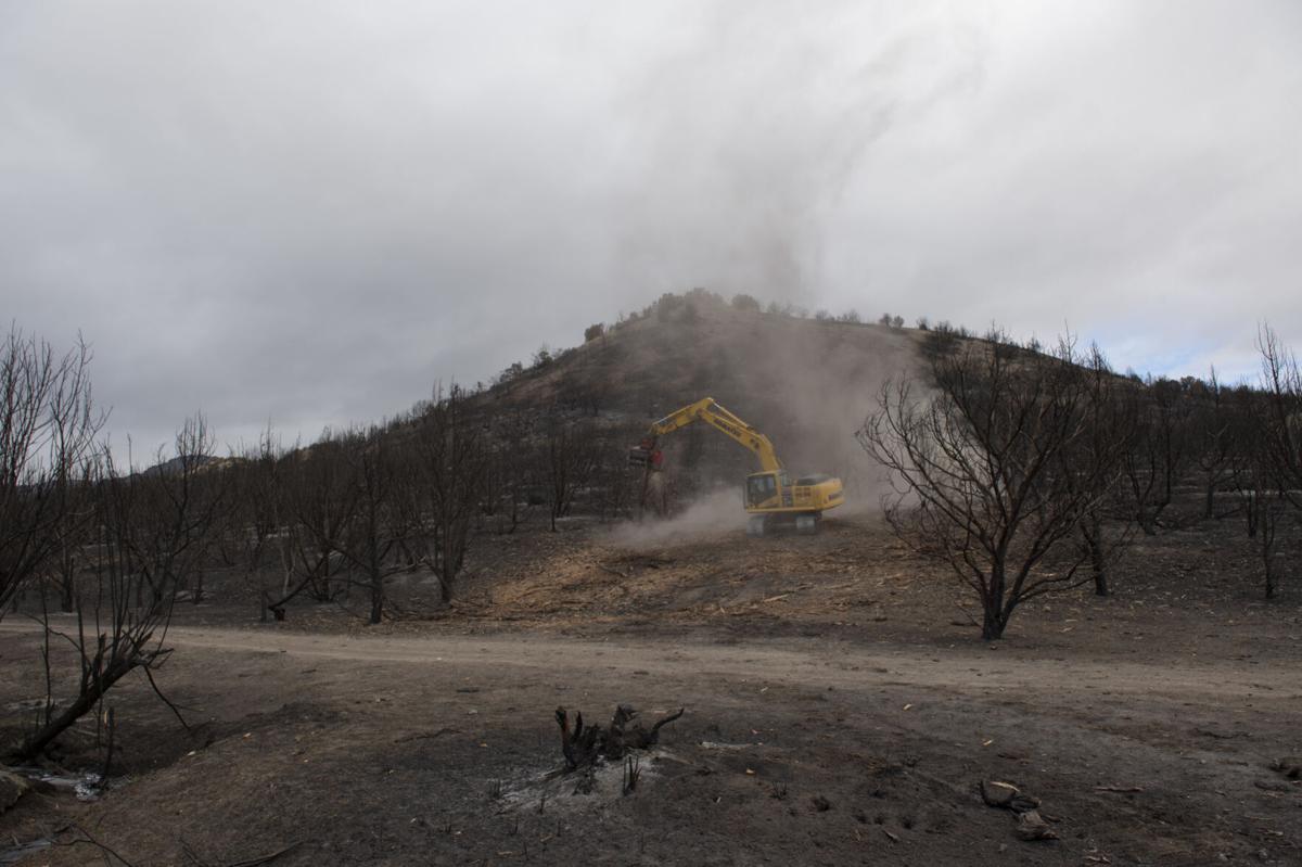 Restoration continues after South Hills Badger Fire
