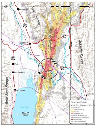 Rocky Point project protects motorists and wildlife