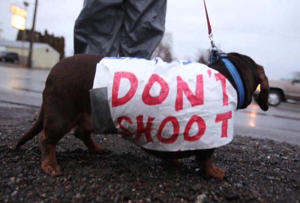 Dog Shootings By Police Prompt Mandatory Training In Other States Local Magicvalley Com