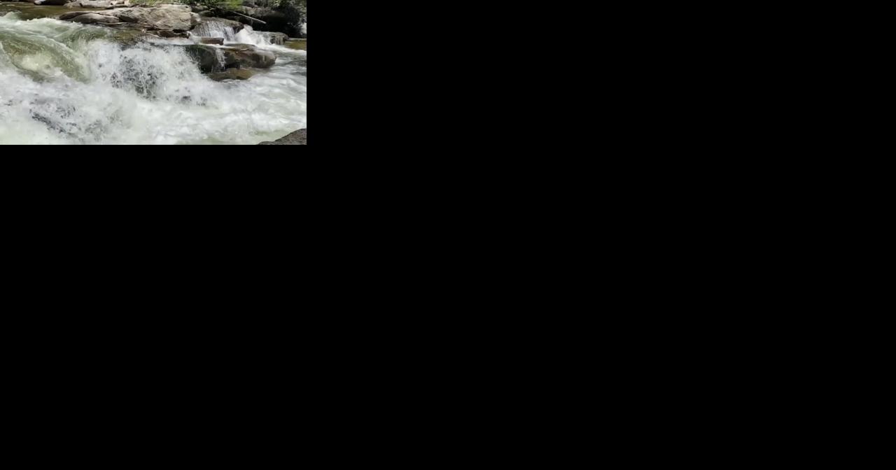 Fall salmon and steelhead fishing outlook - Vimarsana News