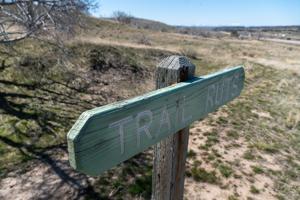 Foster families invited to event at Massacre Rocks State Park