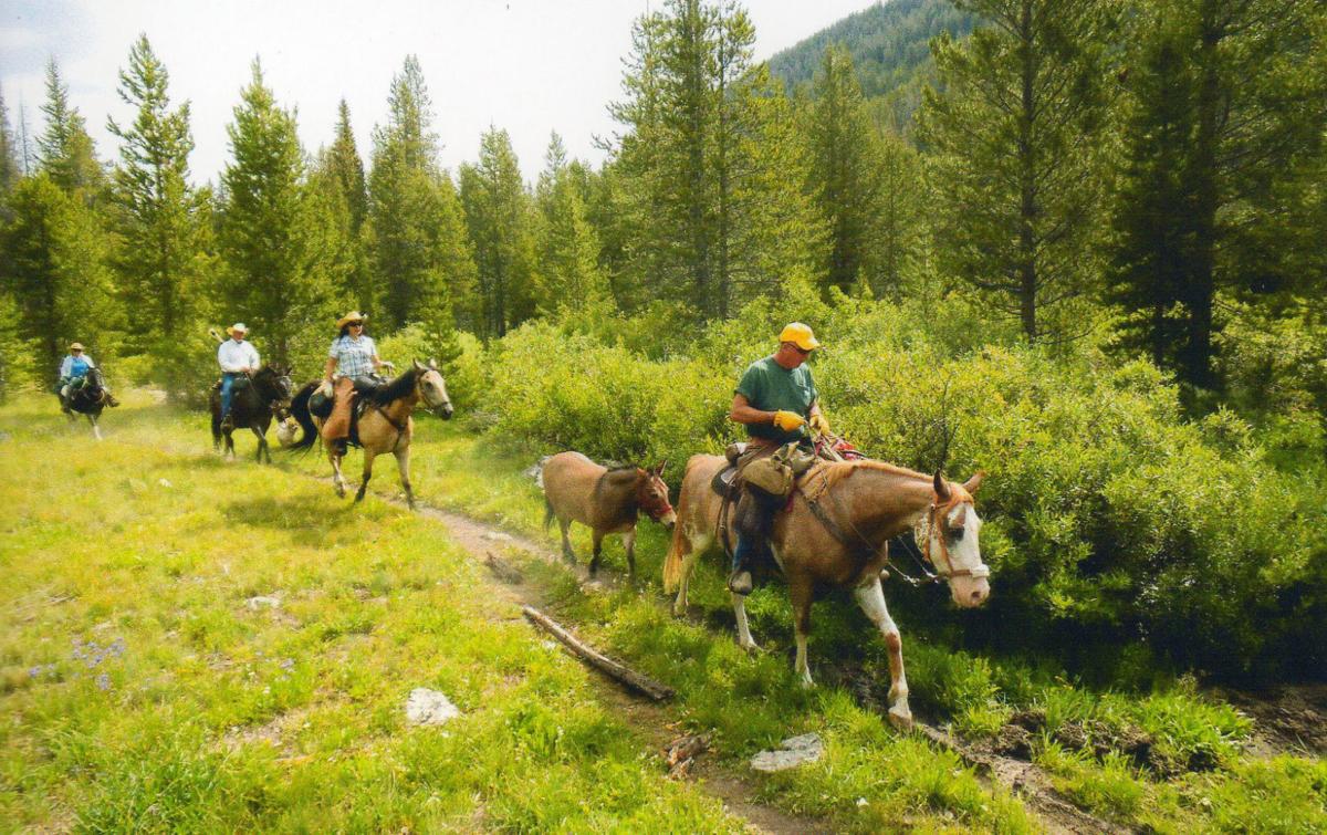 Back Country Horsemen of Idaho Looking for New Members