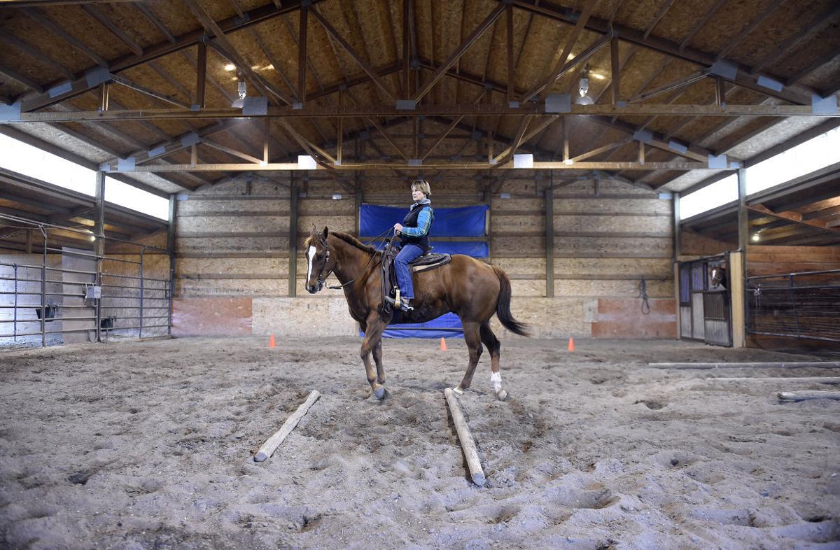 Gallery American Quarter Horse Association Award Southern Idaho