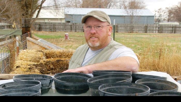 An Aquaponics Experiment Where Tilapia And Tomatoes Can Be Best