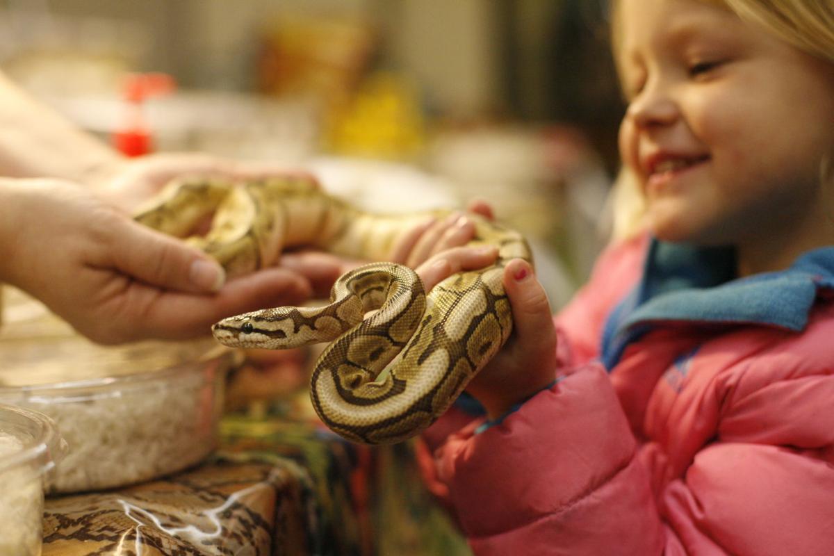 Creeping Critters on Display at Reptile Expo