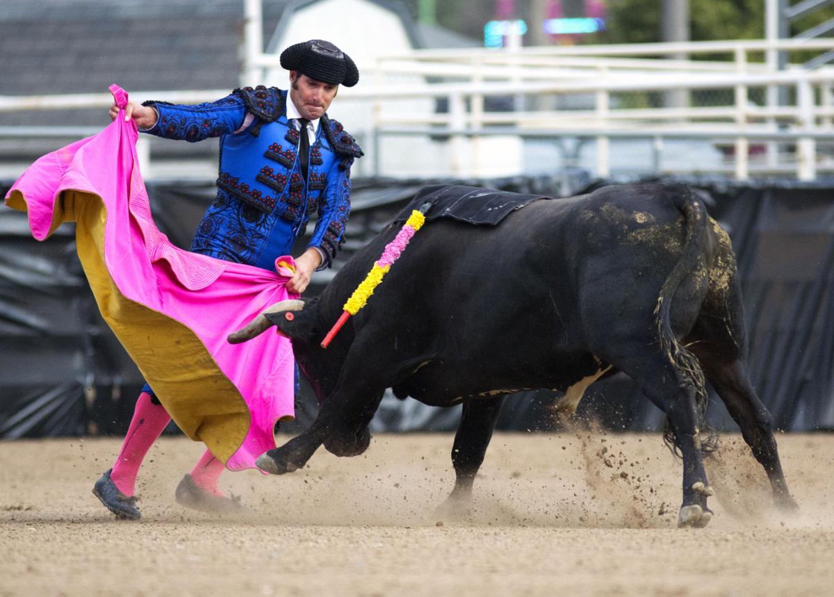 Bloodless Bullfights
