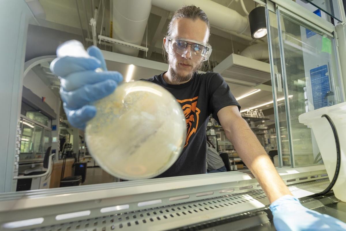 Trash into Treasure: ISU Researchers Developing Polymers to Extract Rare Earth Elements From Waste
