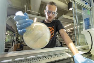Trash into Treasure: ISU Researchers Developing Polymers to Extract Rare Earth Elements From Waste