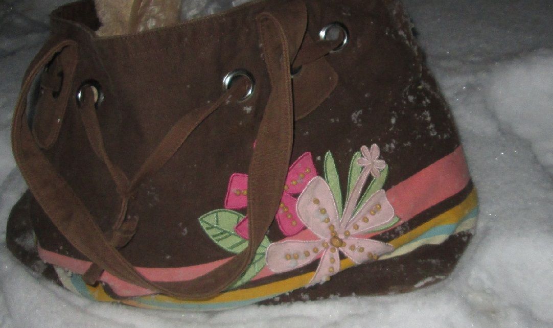 Diaper Bag