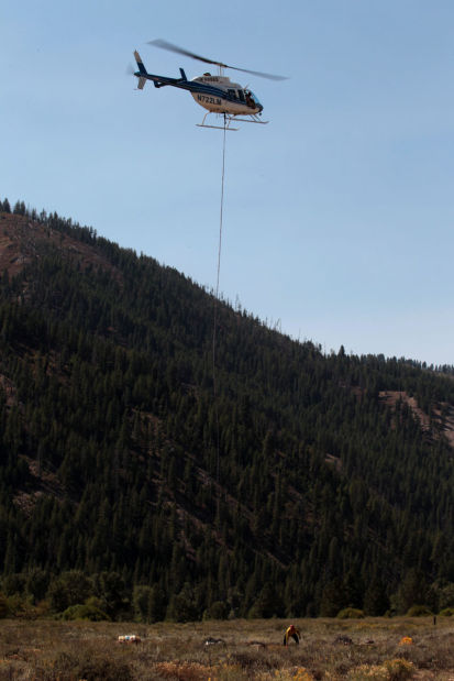 Kelley Fire