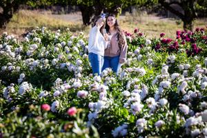 Pops and Peonies, wine tasting in the peony field