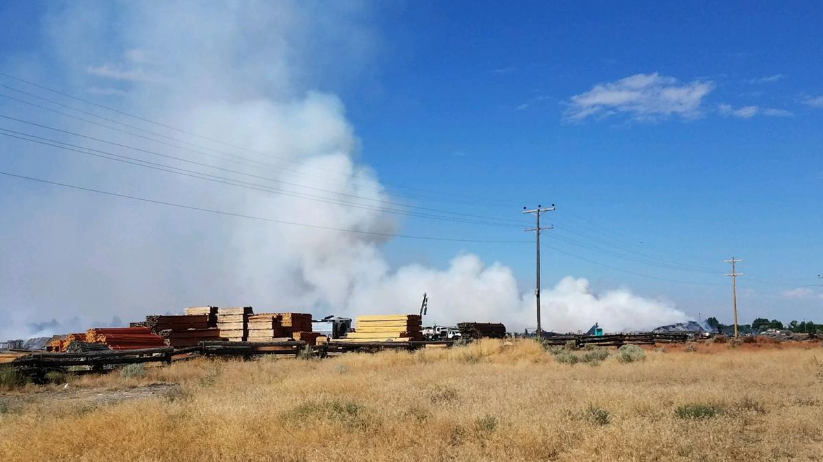 UPDATE BLM 'We did everything we could' to save burned Shoshone