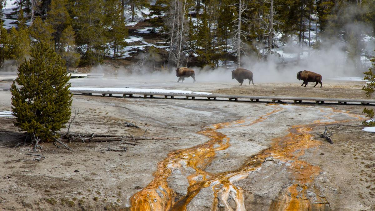 Yellowstone National Park