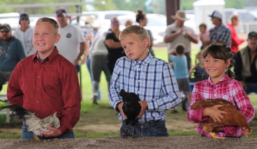 Food and fun Minidoka County Fair winds up