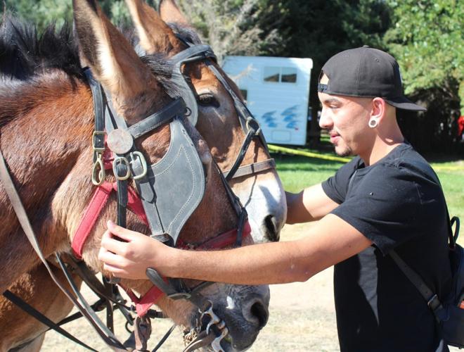 Location is a key to Thousand Springs Festival of the Arts