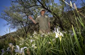 A day in managing the Cottonwood Canyon Nature Preserve