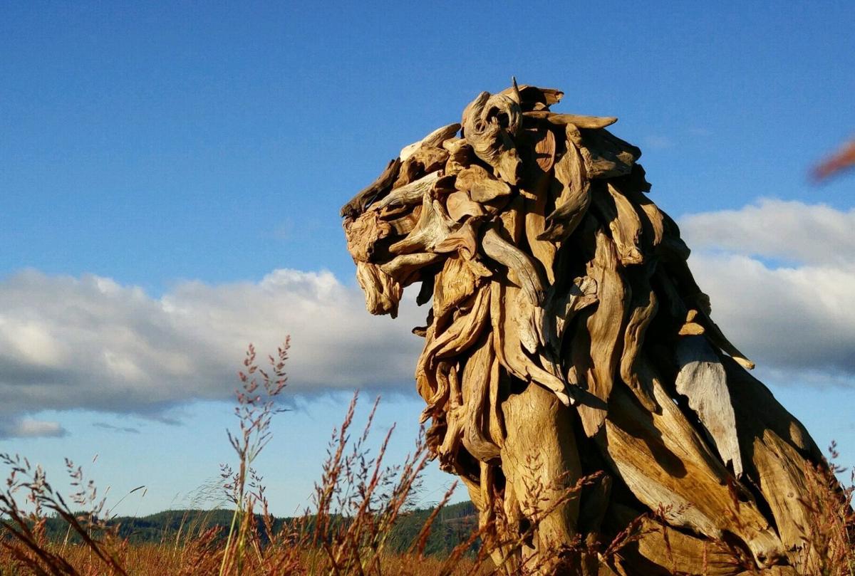 Escultura león Jeffro Uitto Art & Soul of the Magic Valley winners announced | Local ...