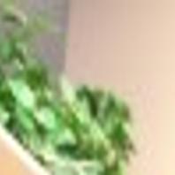 St Luke S To Leave Pharmacy Pharmacy Behind Citing Lack Of Space In New Building Local Magicvalley Com