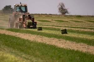 Mild, dry winter poses huge challenges for Idaho farmers