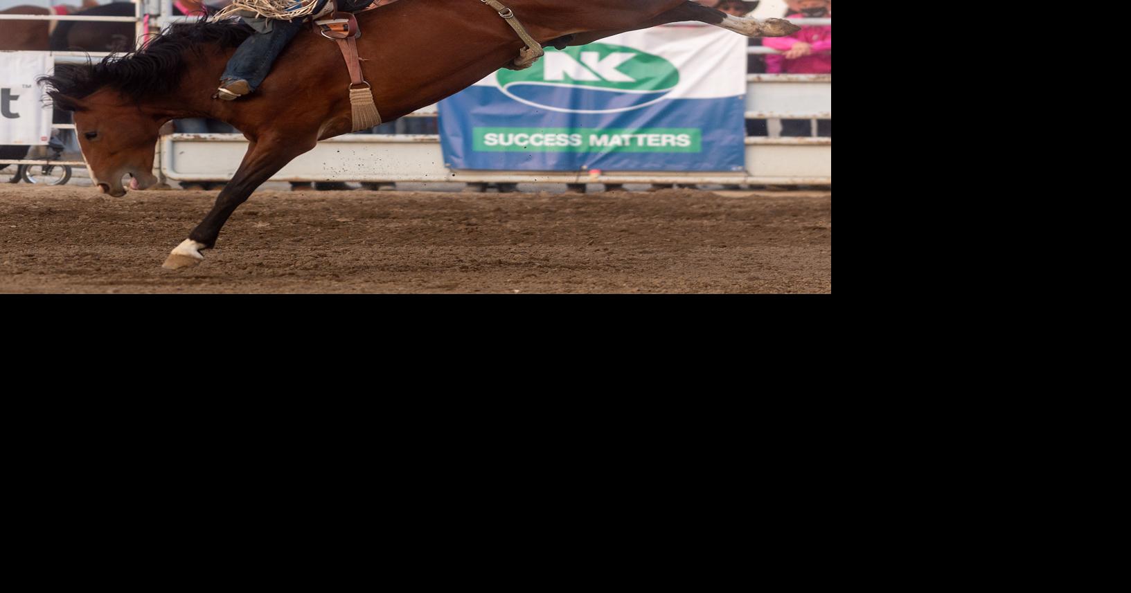 Want to go to the rodeo? Here are a few Idaho events to mark on the ...