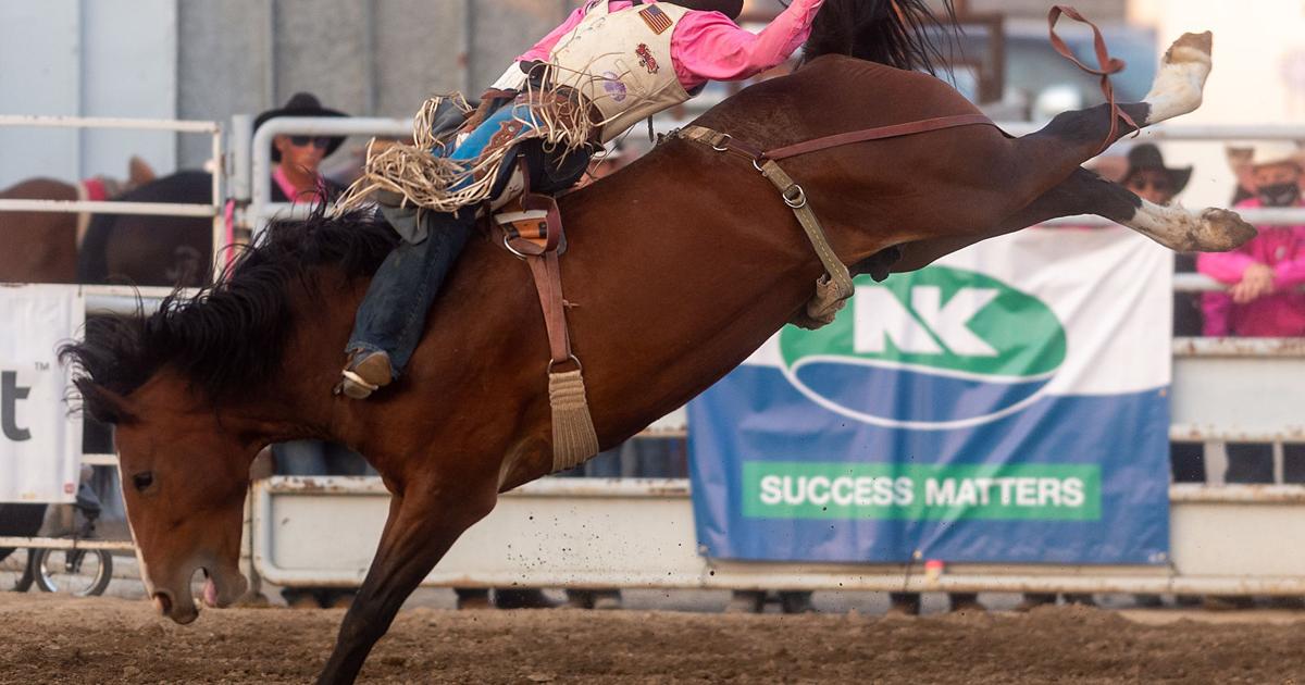 Idaho Rodeos Want to go to the rodeo? Here are a few Idaho events to mark on the ...