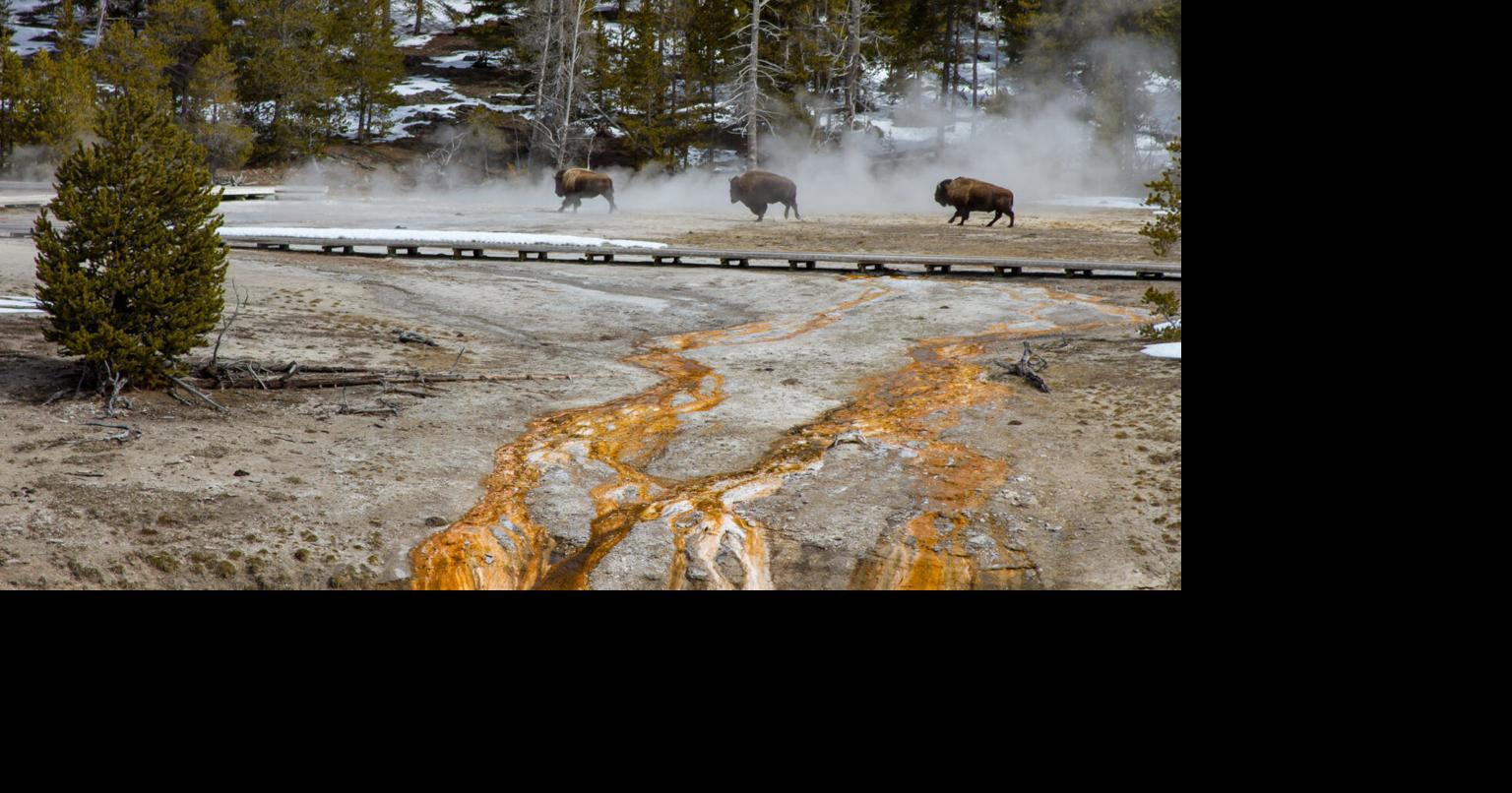 Do earthquakes in central Idaho cause the eruption of the Yellowstone volcano?  |  Sweetened