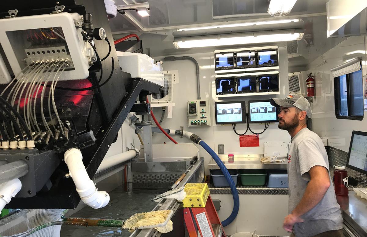 Magic Valley steelhead hatcheries