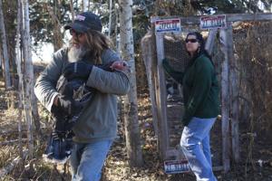 Living with turkeys: One reporter’s epic battle with birds
