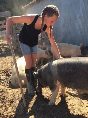 Minidoka Fair