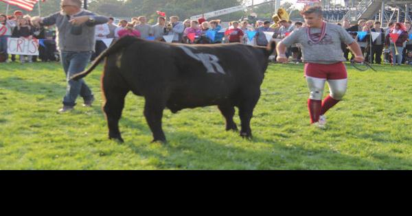 Education foundation's Cow PIE Challenge is Friday