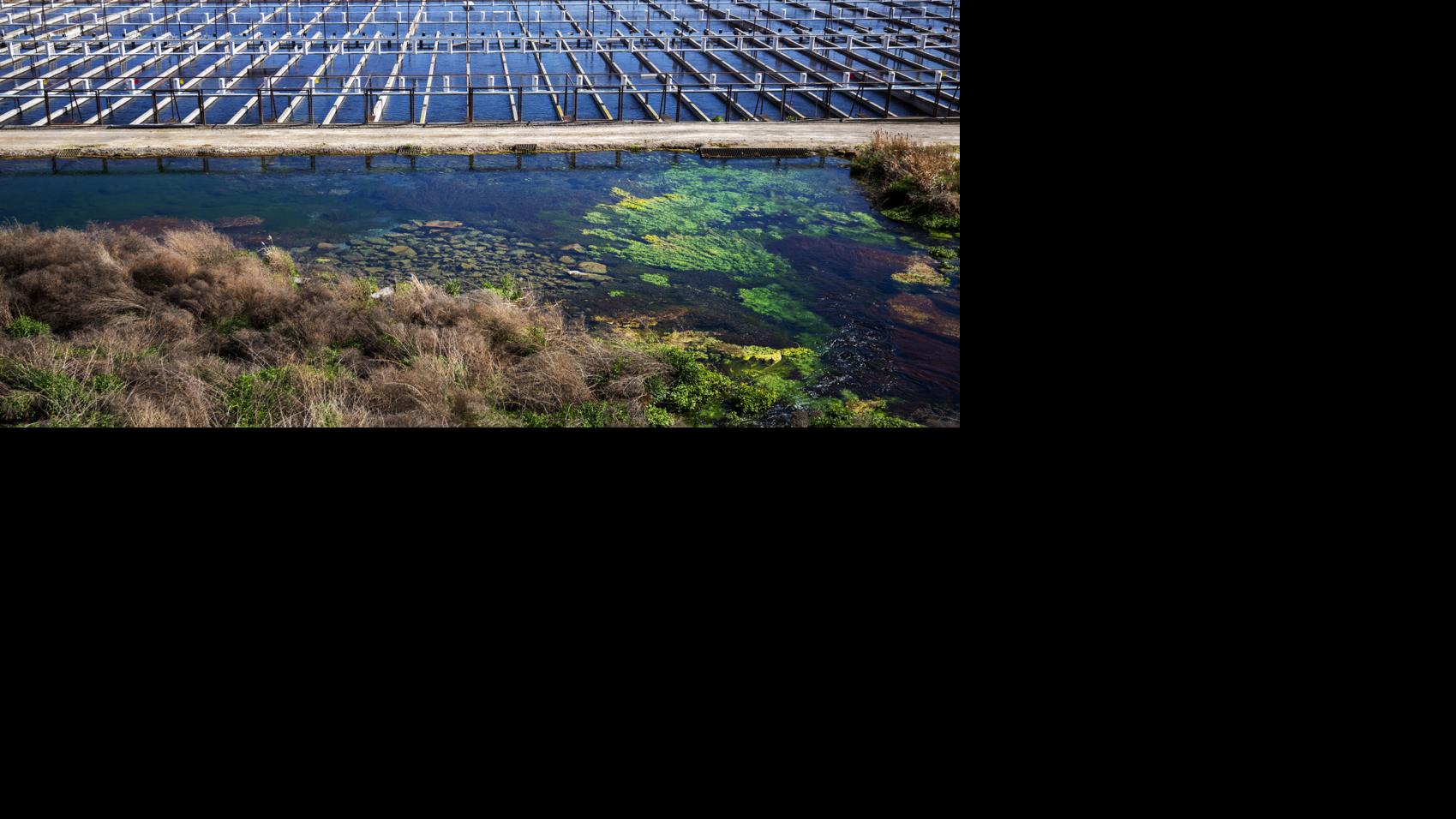 PHOTOS Growing the Magic Valley, part 2 Local