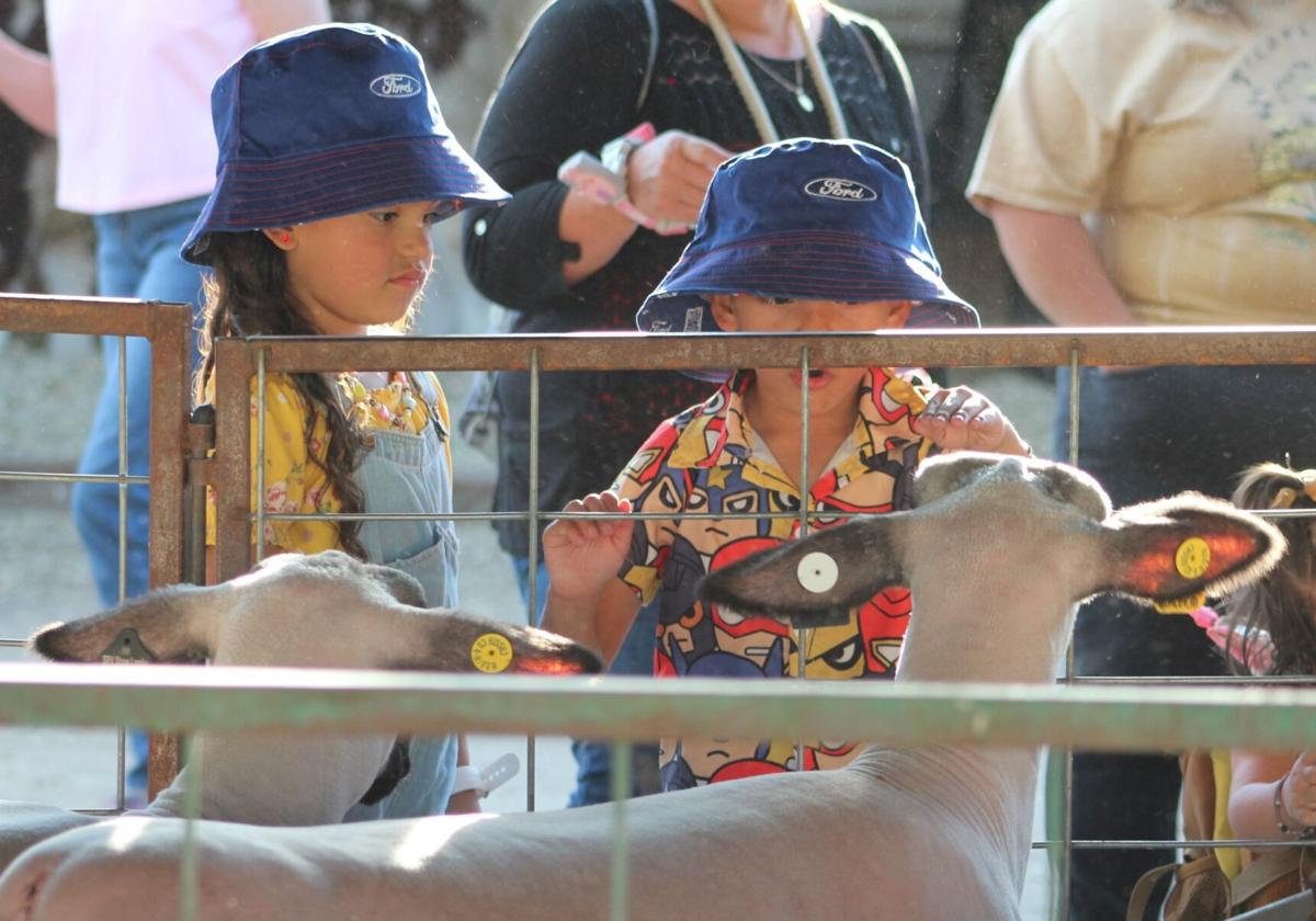Cassia County Fair, Rodeo resumes for one last day