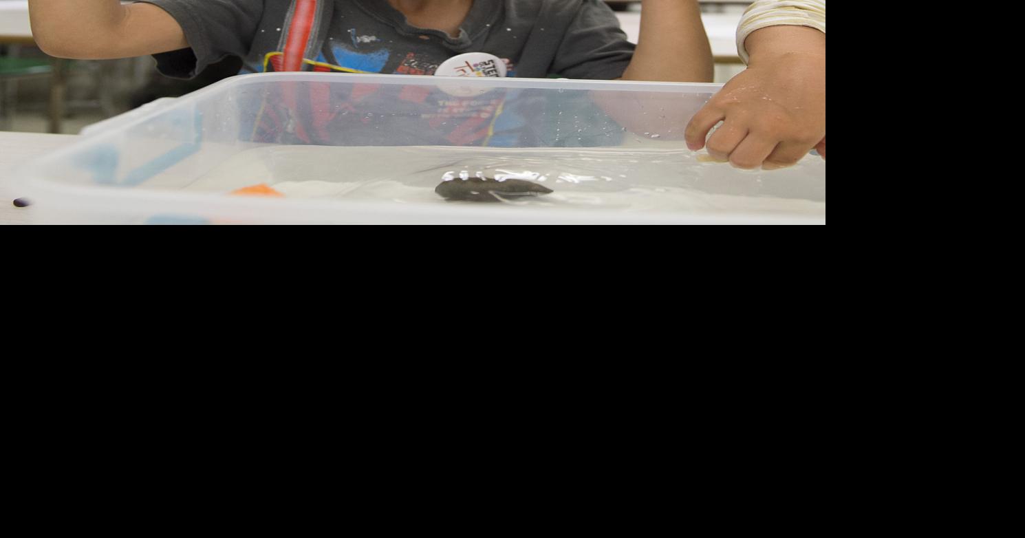 Registration open for CSI summer science camp Southern Idaho