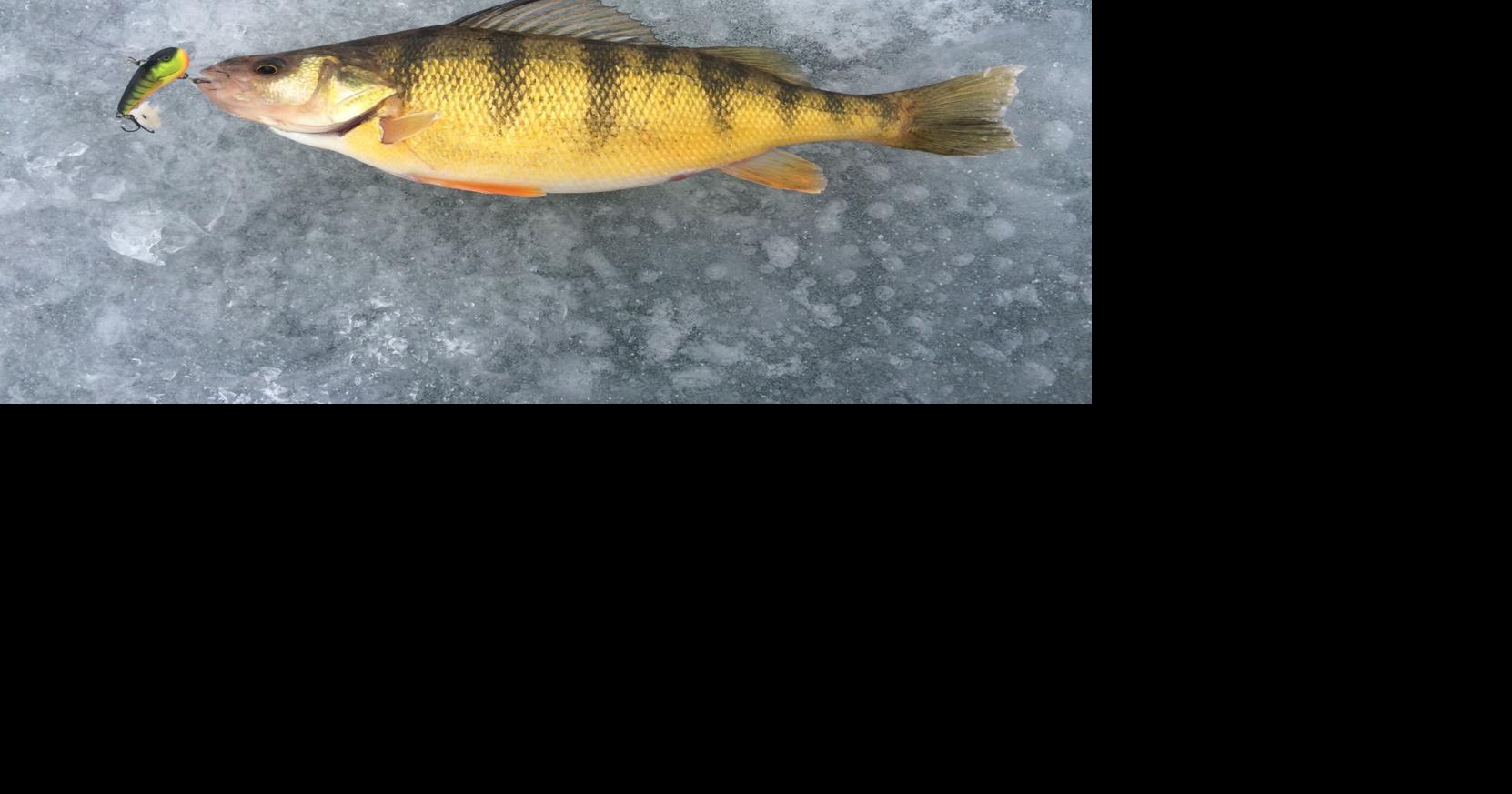 Hot ice fishing at C.J. Strike: Cold snap brings a rare treat for anglers