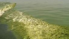 Health advisories for Idaho water bodies lifted as winter approaches