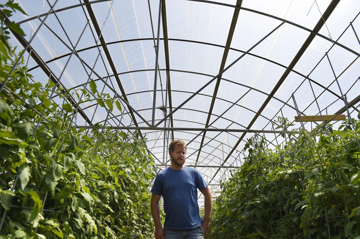 Sprouts Countryside Market Reopen For Another Season Southern Idaho Entertainment Magicvalley Com