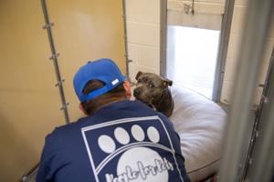 On Christmas Day, they chose care
