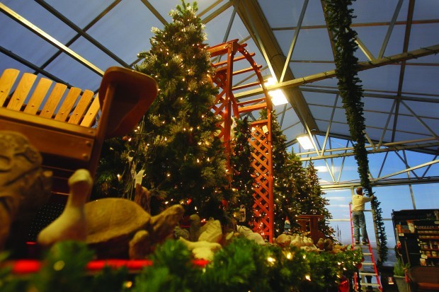 Festival Of Trees Offers A Wonderland Of Lights