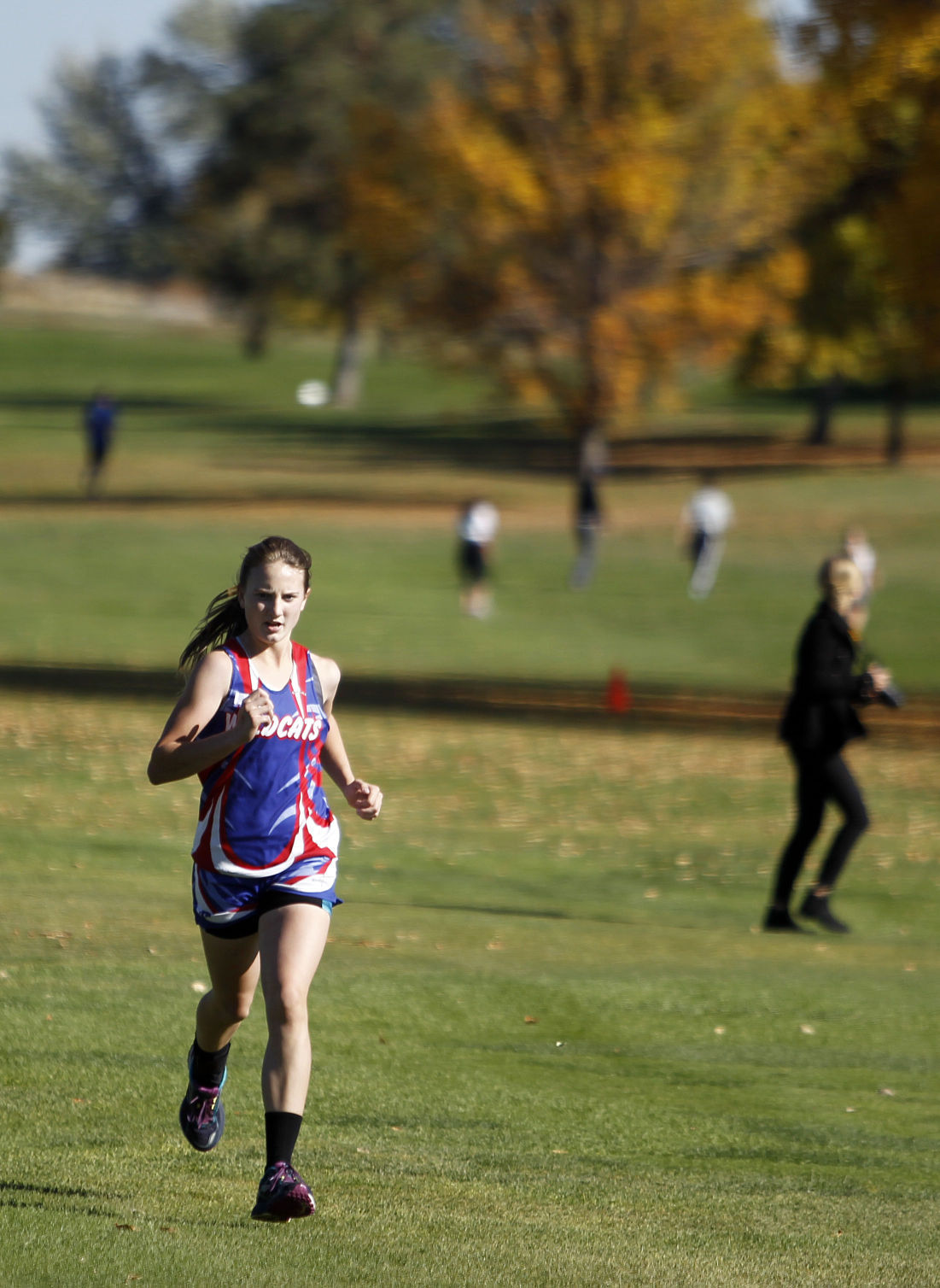 District IV Cross Country - 1A/2A/3A