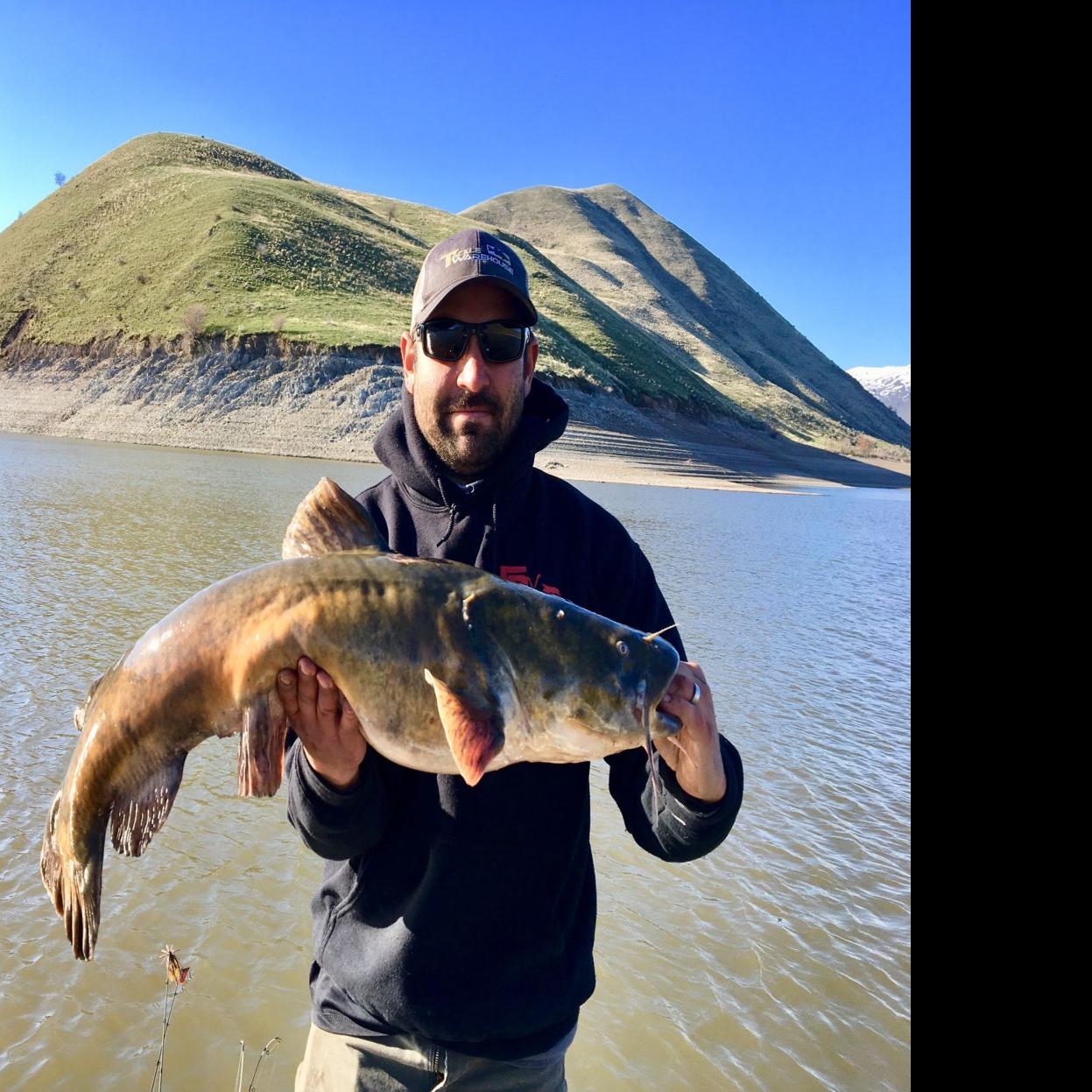 Fishing Column Idaho River Monsters Part Iv Flathead Catfish Outdoors Magicvalley Com