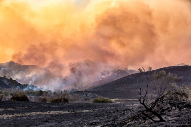 Beaver Creek Fire