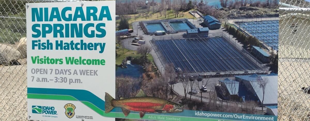 Niagara Springs Fish Hatchery closed to the public for construction beginning June 22