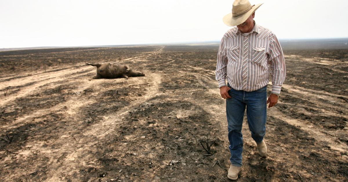 Murphy Complex Fire 10 years later: The legacy of Idaho's huge Murphy Complex Fire