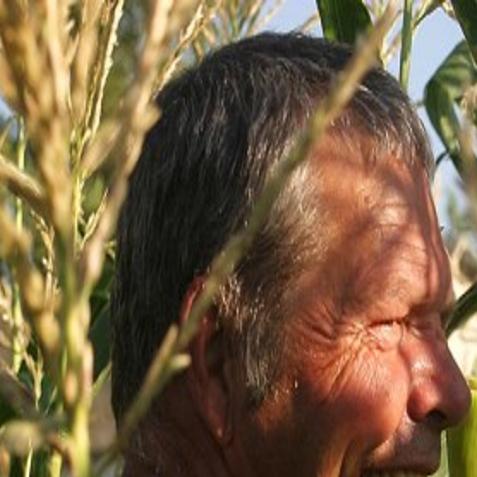 Your Plate Gleaning Magic Valley Fields Helps Feed The Hungry