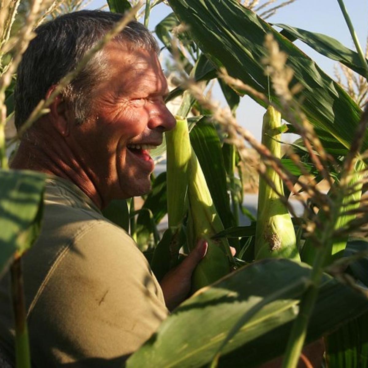 Your Plate Gleaning Magic Valley Fields Helps Feed The Hungry