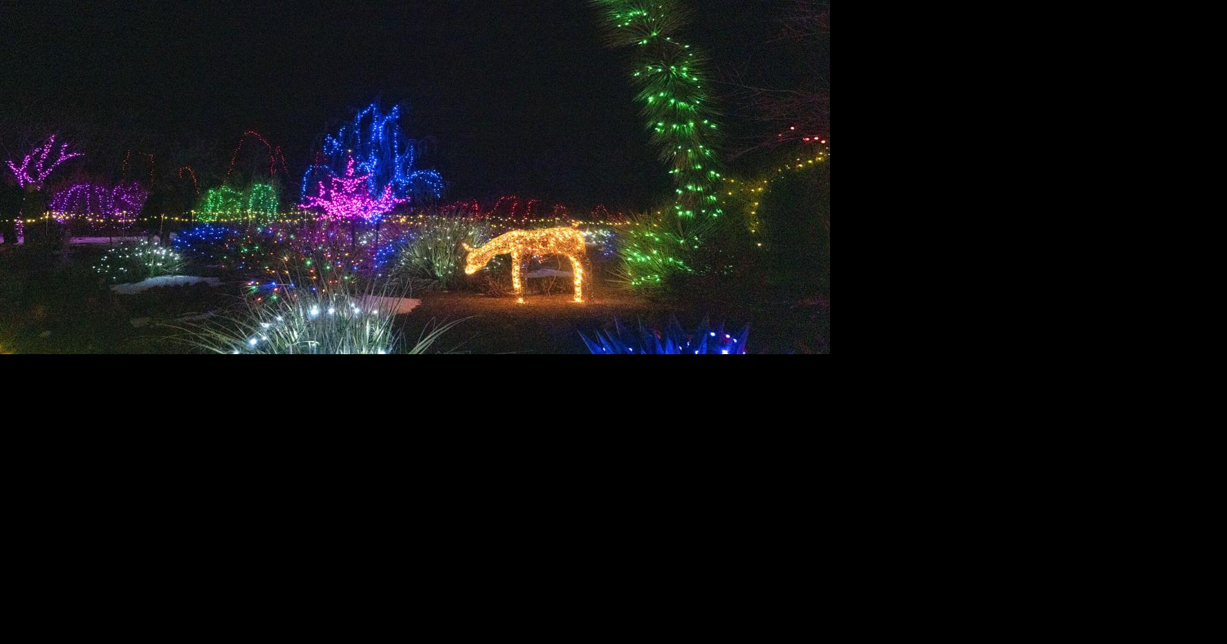 Lighting up the Magic Valley The best Christmas Lights to see this