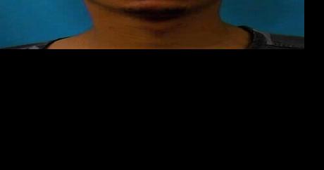 Arrest after Jerome vehicle burglaries - Vimarsana News