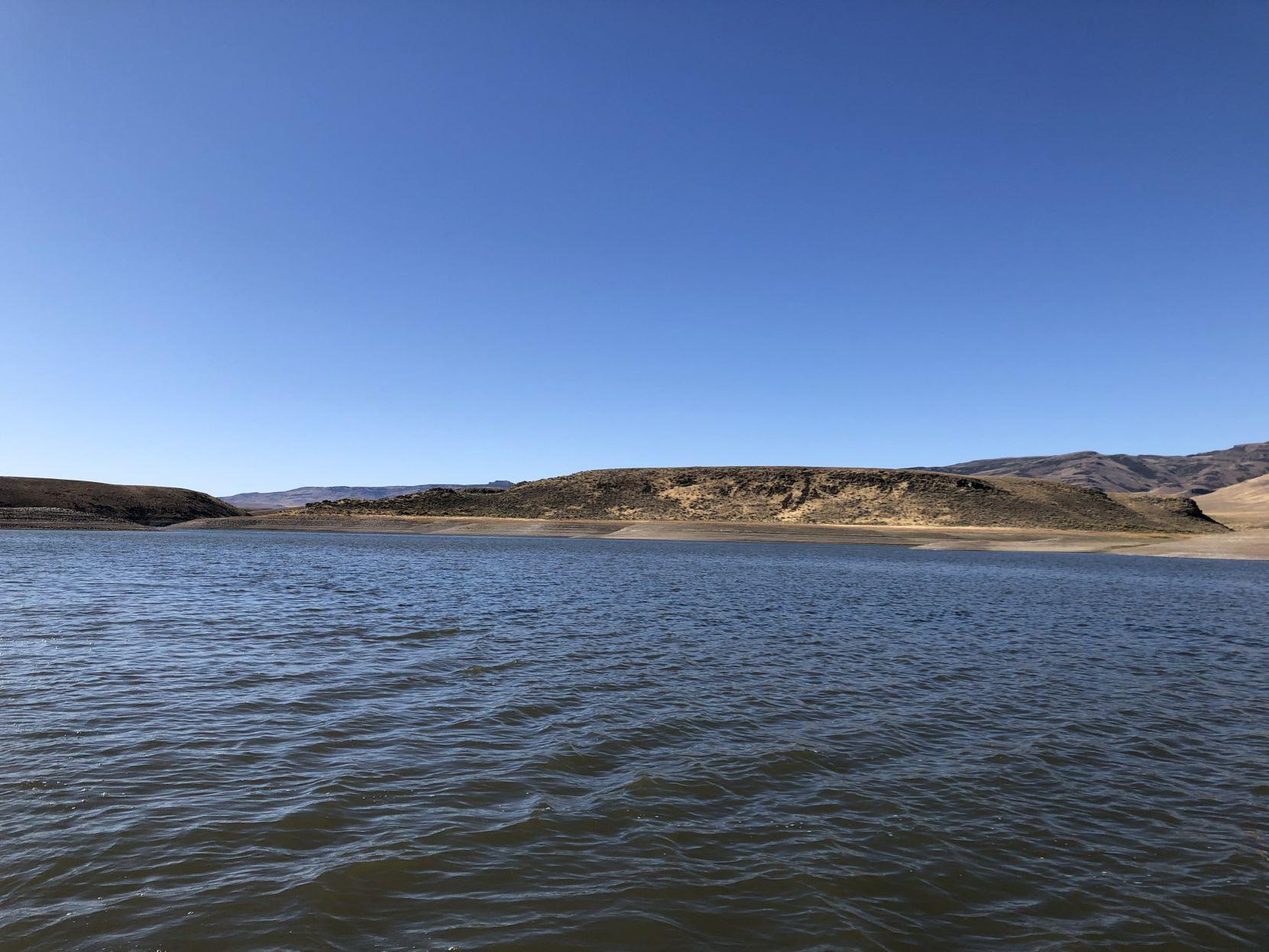 The Eyes Have It Salmon Falls Creek Reservoir Offers A Rare
