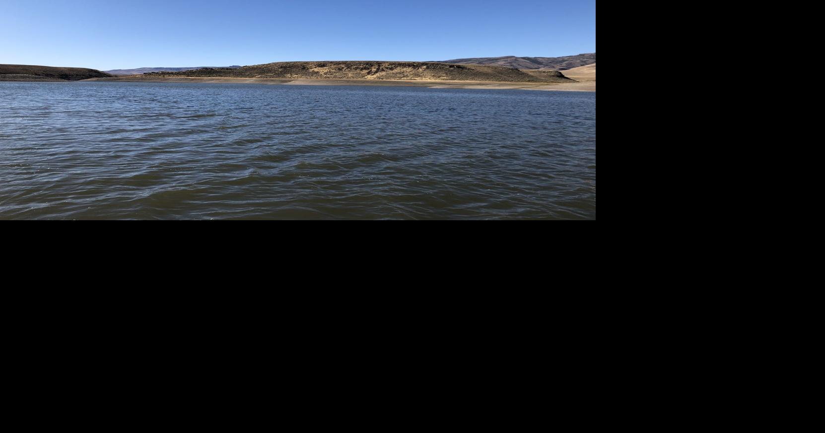 The 'eyes' have it Salmon Falls Creek Reservoir offers a rare